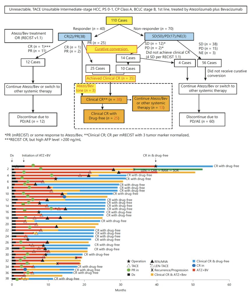 Achievement of CR & Drug-Free Status by Atezo/Bev Combined with or without Curative Conversion in TACE-Unsuitable, Intermediate-Stage HCC
@GastroKarger 
doi.org/10.1159/000529…
🔎 🇯🇵Proof-Of-Concept Study
👉Clinical/path. CR in 35% of pts!
😅the concept: 'curative conversion'…