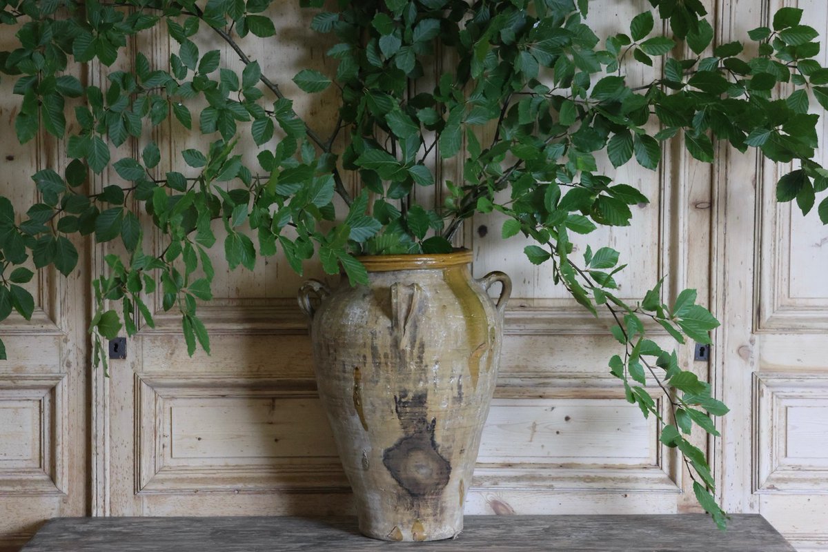 BrownriggUK's tweet photo. 19th Century Spanish Terracotta Pot With Mustard Colour Glaze
https://t.co/h5ROXMaSW2
#terracottapot #antiquepot #decorativeantiques #homedecor #design https://t.co/BEjwYctSK4