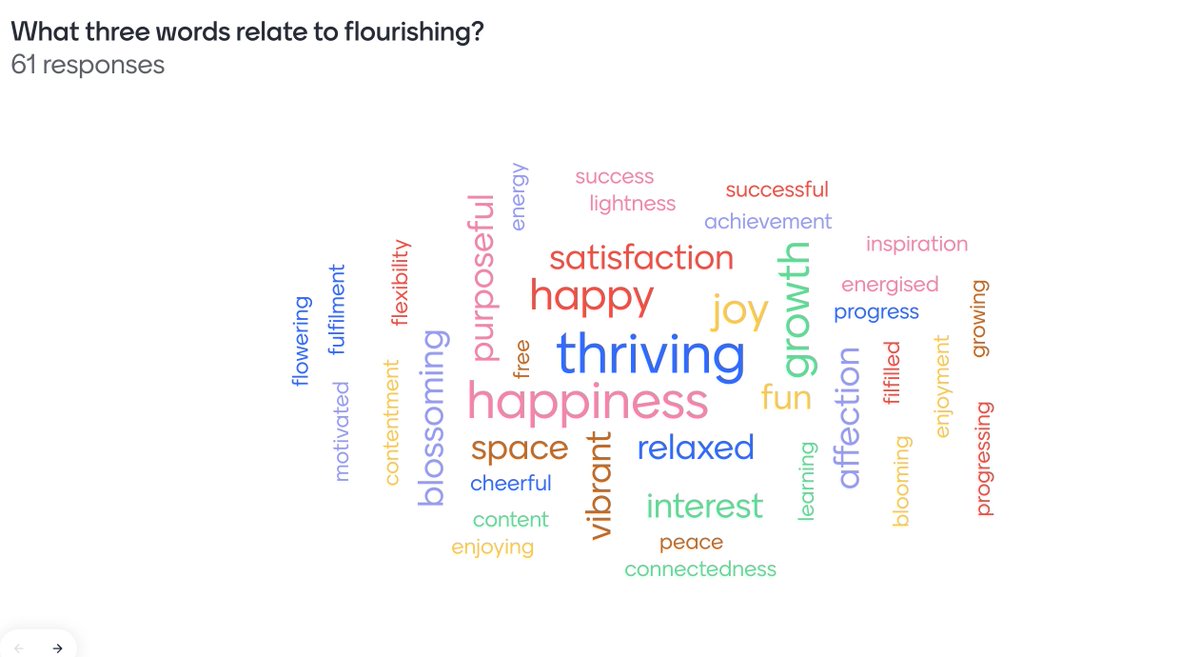 Huge thanks to @LouiseYounie who delivered an excellent talk to our @tcddublin @TrinityMed1 GP tutors on #Flourishing #CreativeEnquiry who generated this word cloud #BeAGP
