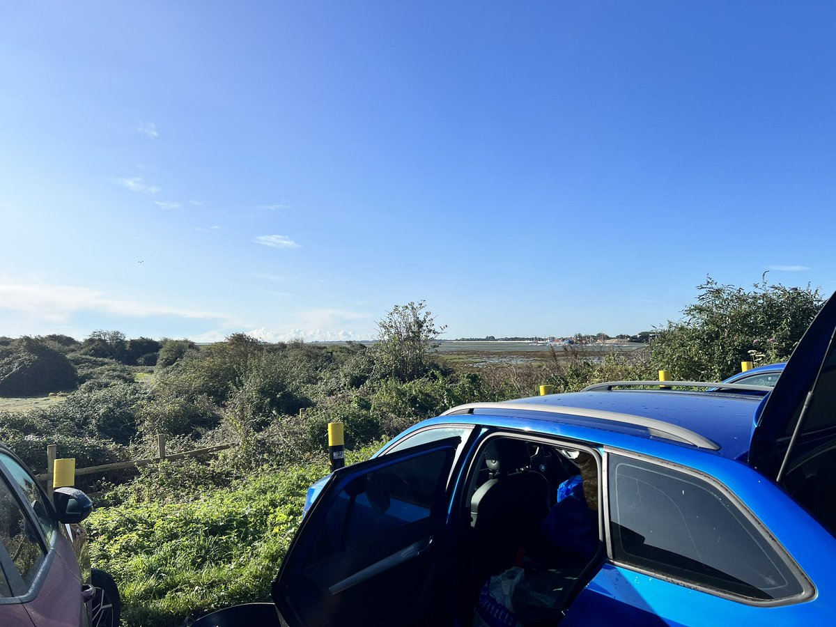 Iain Turner tweet media