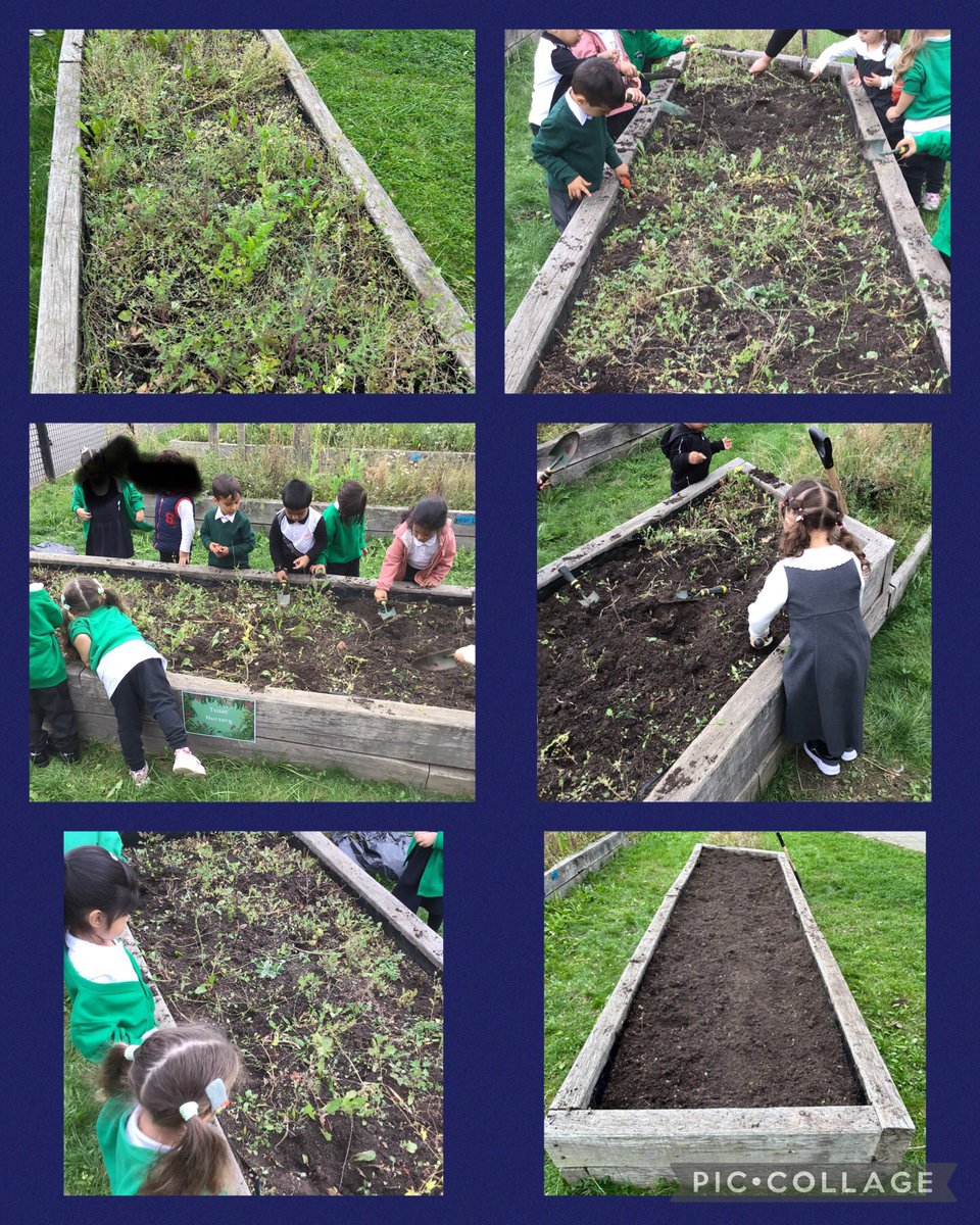 Oasis Don Valley tweet media