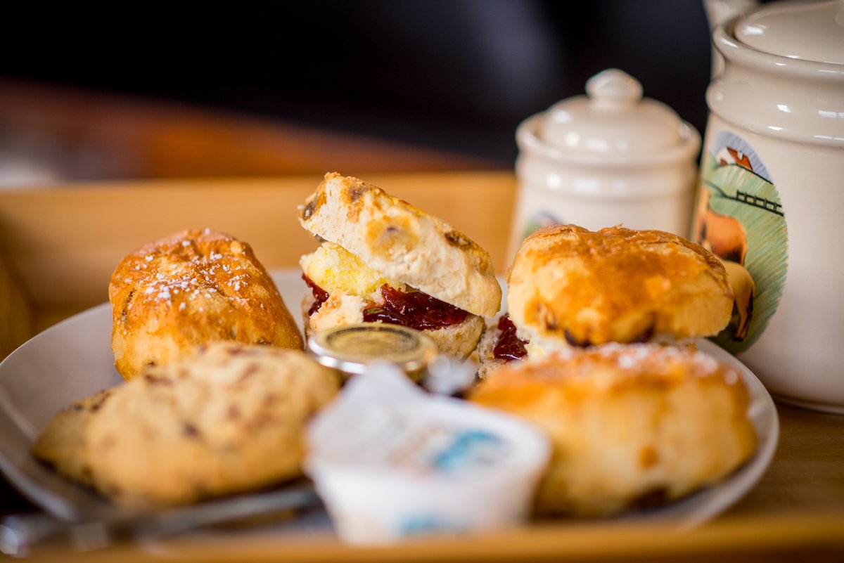 St. Tinney Farm Holidays tweet media