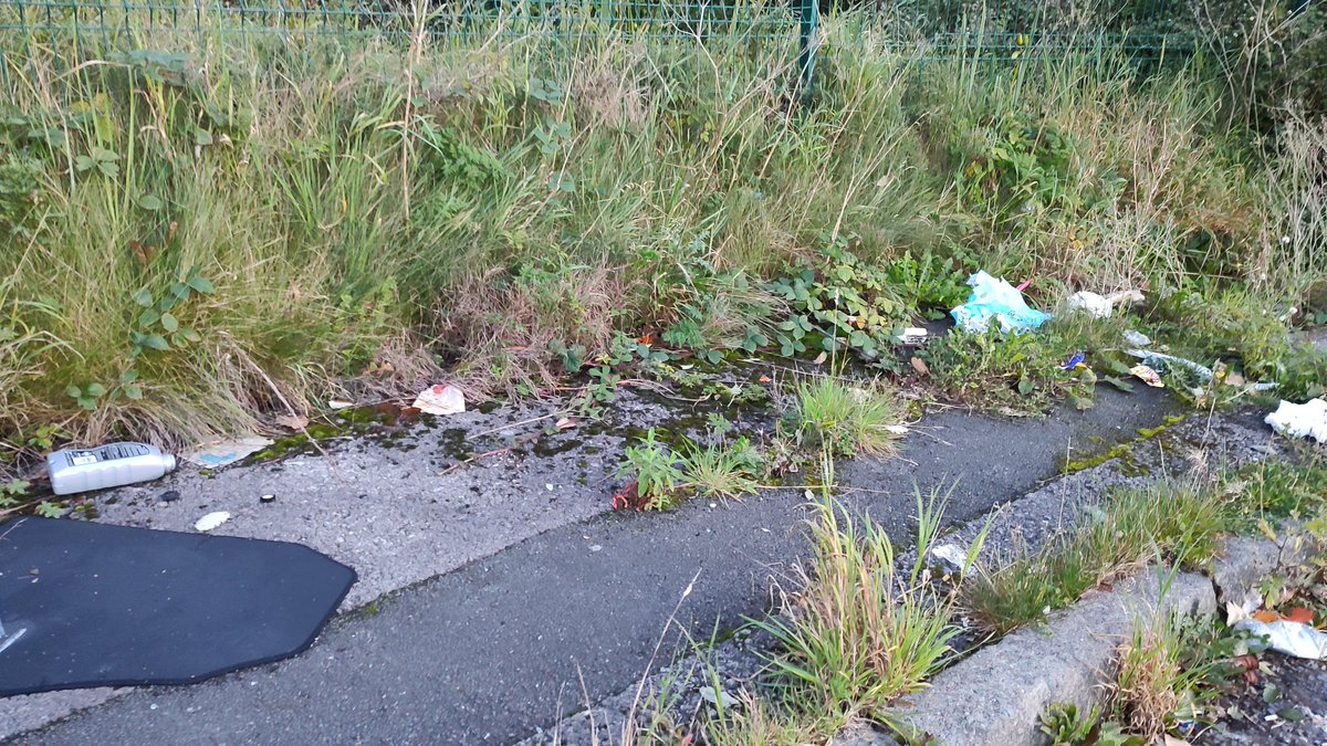 This what @LancashireCC believe is 'completed' after a report that entire pavement on Balderstone Lane, #Burnley is blocked by overgrown vegetation.
Taken >3 months to do... nothing.

lovecleanstreets.com/reports/report…

#AccessibleStreets #ToryShambles