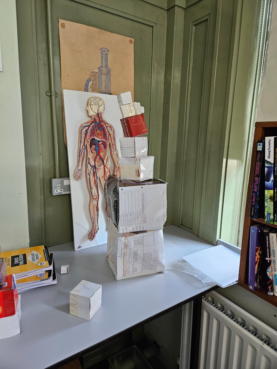MsEdalton's tweet photo. @X Teaching Transition Years in @Colaiste_Einde about taxonomic classification so we built labelled nesting boxes out of recycling. Smallest box 'Species' fits into the Genus box, then Family, then Order, then Class, then Phylum, then Kingdom and finally Domain. https://t.co/YyAgx1tCvY