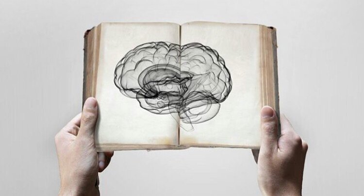 أمةٌ تريد الارتقاء، تبني العقول قبل الصروح.