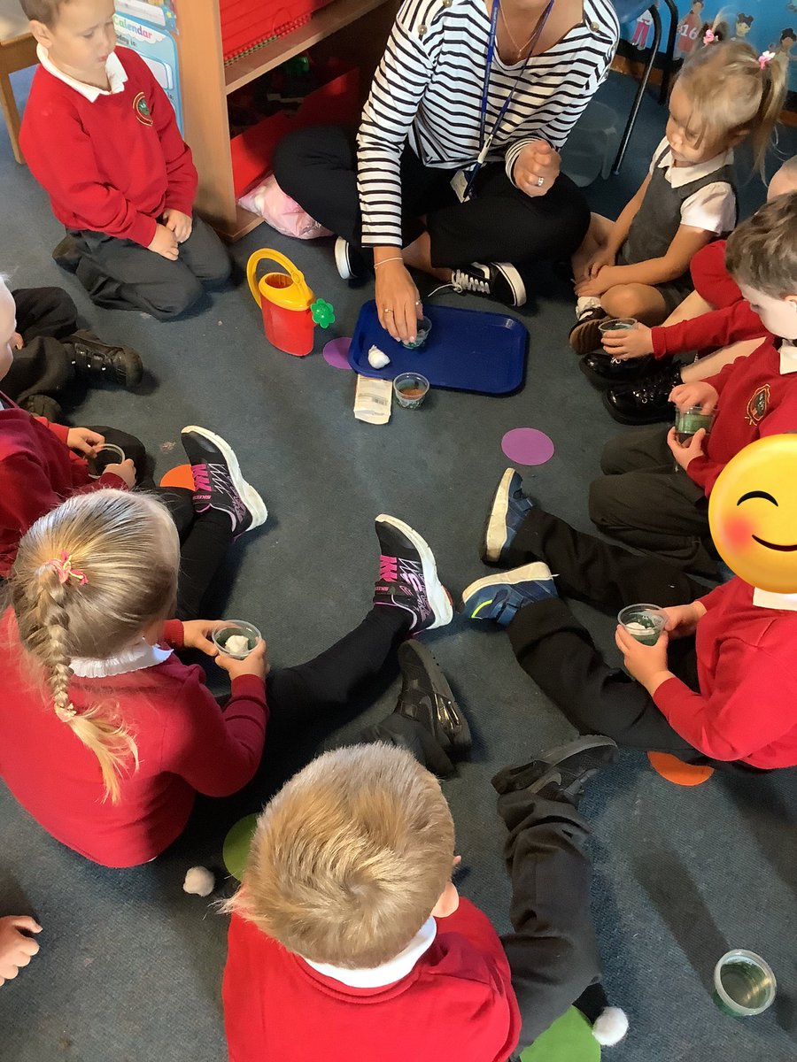 NurseryOPS's tweet image. This morning we have talked about and sown some cress seeds. We are going to watch them grow and maybe even have a taste.
#opsscience #understandingoftheworld #eyfs #grow #taste