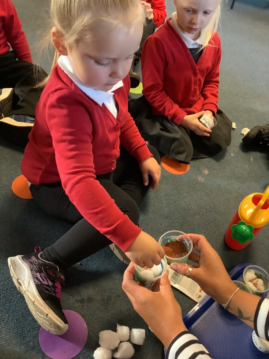 NurseryOPS's tweet image. This morning we have talked about and sown some cress seeds. We are going to watch them grow and maybe even have a taste.
#opsscience #understandingoftheworld #eyfs #grow #taste