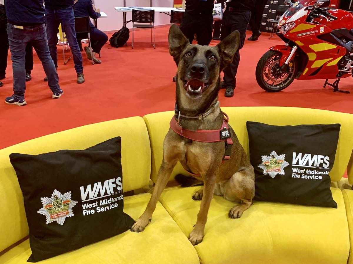 Ferg_not_Serg's tweet photo. Back to the day job following an excellent @emergencyukshow. Glad to see our refreshed branding went down so well and to see and hear the innovations the wider sector is exploring to keep people safe. Glad to have Luna as our unofficial brand ambassador - or ambassadog? https://t.co/34xkf0cTdk