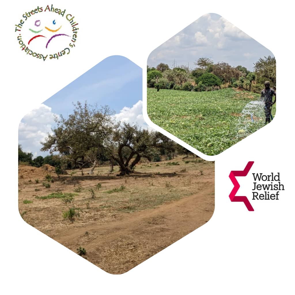 SACCA_Rwanda's tweet image. It was in the year 2021 when Ekaterina from @WJRelief  and @SACCA_Rwanda  Executive Director @MukamuyenziV visited #Ndego, @KayonzaDistrict  which seemed like impossible, the time was the beginning of hundreds of farmer's lives economic transformation.