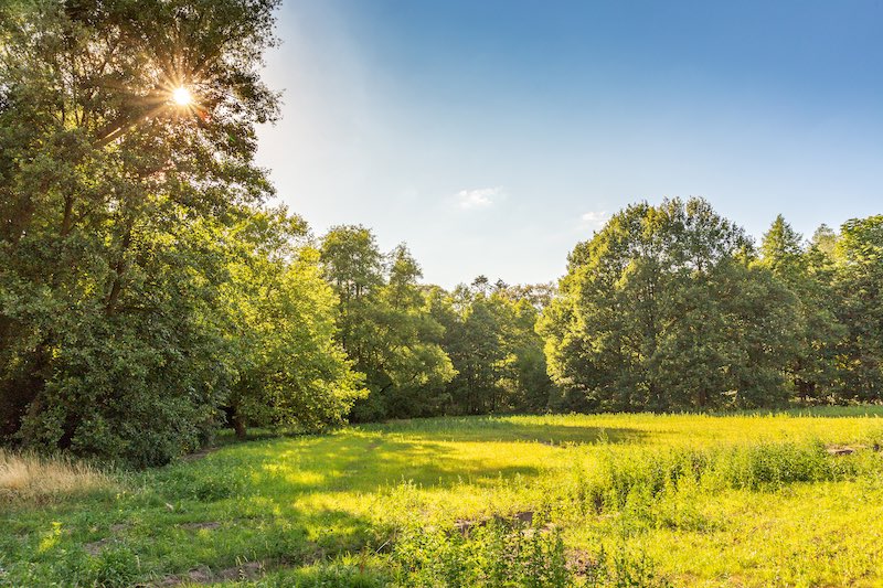 De verkoop van kavel 175 is gestart! De kavel van ca. 1.028 m2 ligt centraal in ’t Vaneker en wordt omringd door een van de groene longen in het gebied, waardoor je op de kavel veel privacy hebt. Meer op: vaneker.nl/te-koop/kavels…