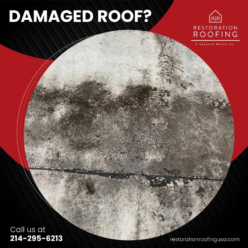 RestoreMyRoof's tweet photo. Roof damage can be the systemic cause of a lot of other damages to your building if left unnoticed. That's why it's so crucial to get your roof inspected on regular basis. Call 214-295-6213 or visit https://t.co/0FcNUBBa4Z to schedule #freeroofinspection from #RestorationRoofing. https://t.co/Bo92uk6EM0