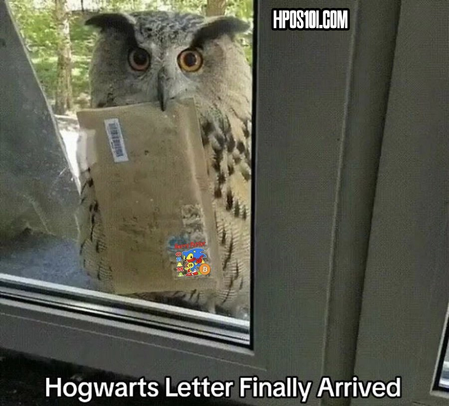 Will you accept the magic of HarryPotterObamaSonic10Inu?
🦉📨🧙
#ThisistheEndgame #AcceptTheTruth