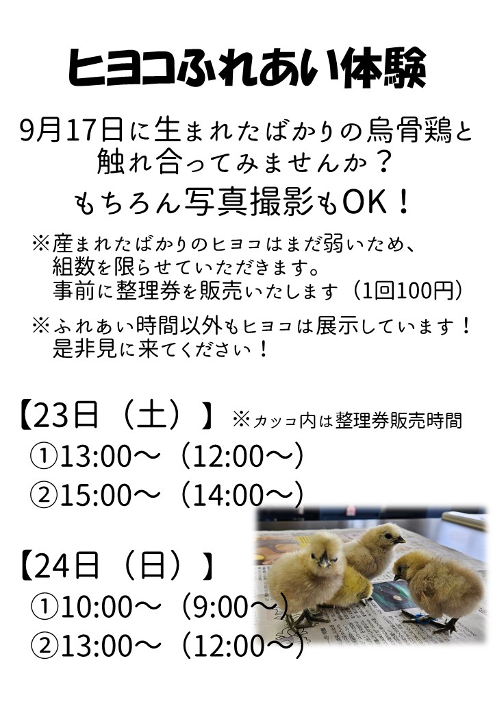 BunsugiBSC's tweet photo. お久しぶりです！明日から青凛祭！生物探究部ではヒヨコのふれあい体験、ニワトリ小屋ツアーを行います。
今年はヘビとも触れ合えるかも…！？ https://t.co/Jqs7ljxLyY