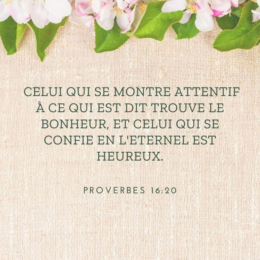 UvvcCanada's tweet image. #proverbes #paroledeDieu #UVVC
uvvc.ca
