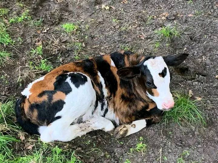 kinda figured it was bound to happen,,,