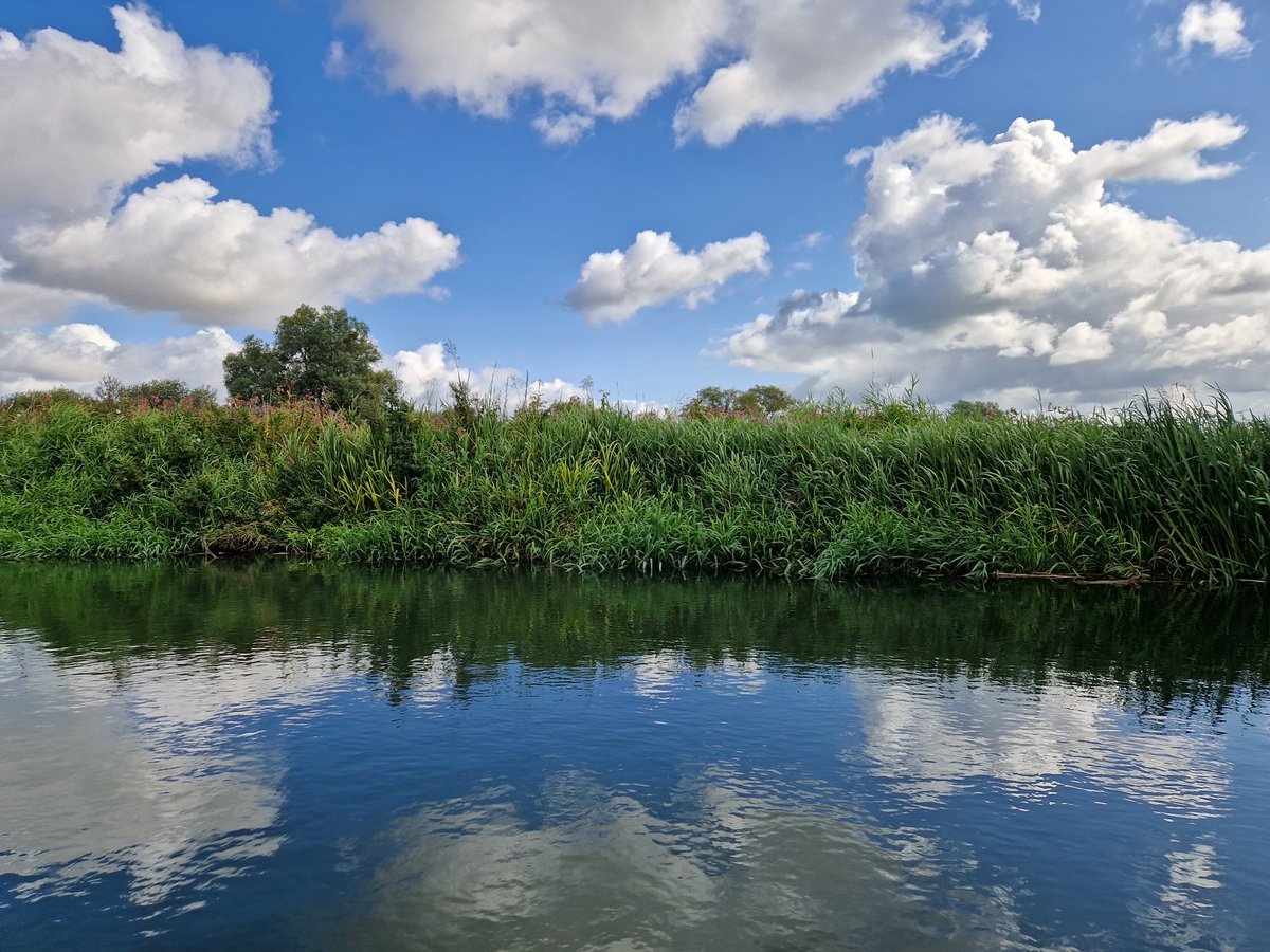 RowUrHeartOut's tweet photo. Late August clouds over the Thames. 

Upstream of Newbridge.

30/08 

@ThamesPathNT @TheThamesPath @CloudAppSoc https://t.co/u3ORWge9BL