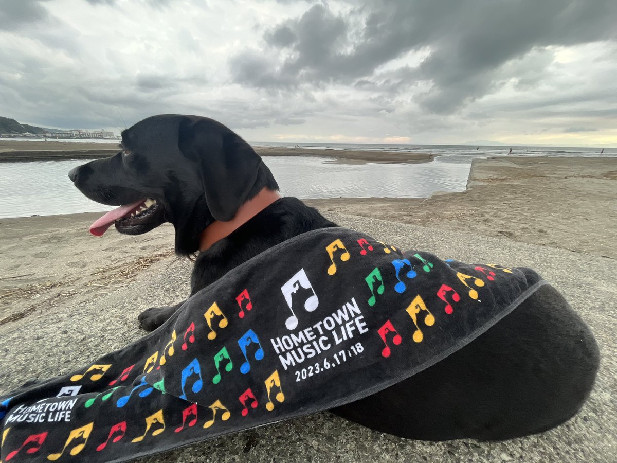 AArxv2clRT5jdbC's tweet image. #HTML2023
#黒ラブラドール 
タオル🌈🎵可愛い😍
今日もお疲れ様でした😉