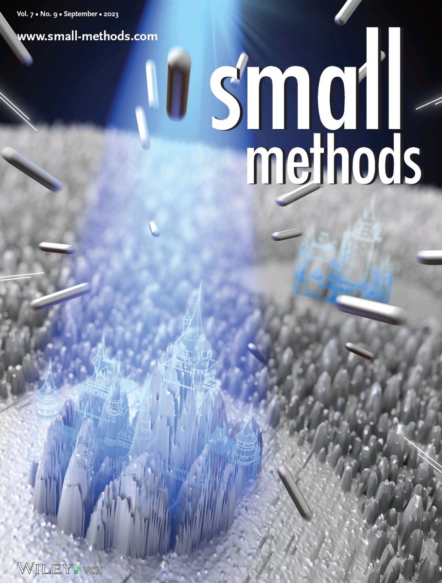 NanoscopyLab tweet media