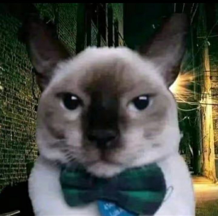 oupigoupi 🇹🇷 tweet media