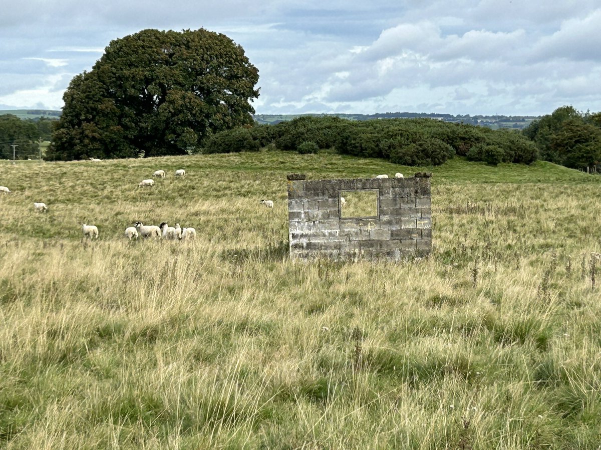 Great morning for the <a href="/sintonsrural/">The Rural, Agricultural & Estates Department</a> team in the Great Estates challenge - looks a good day for it 😎😎