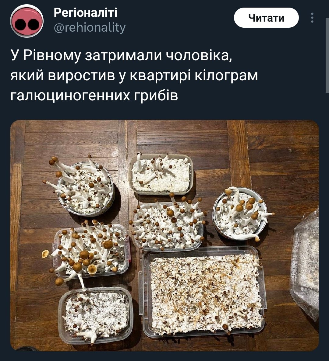 OrestKolo's tweet photo. Бля... за що ботаніка ображати??? https://t.co/L8DdgRWouT
