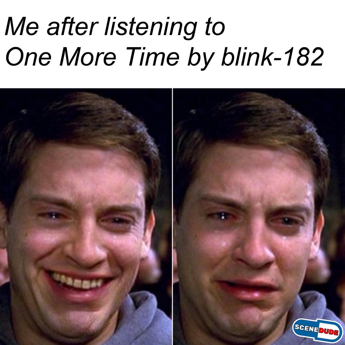 Another accurate blink-182 meme