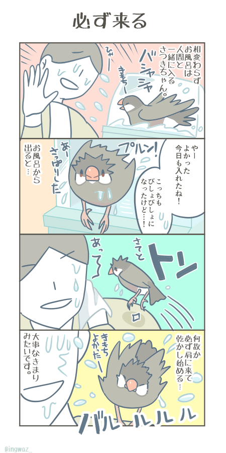 必ず来る。

#Buncho #文鳥 #漫画が読めるハッシュタグ 