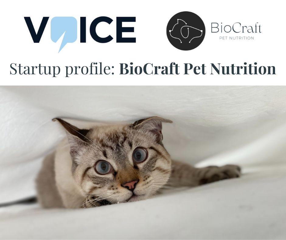 Thanks SG Voice for the chance to shed some light on the environmental paw print of pet food! 🐾

surl.li/ljlxt

#petfood #sustainability #meow #woof