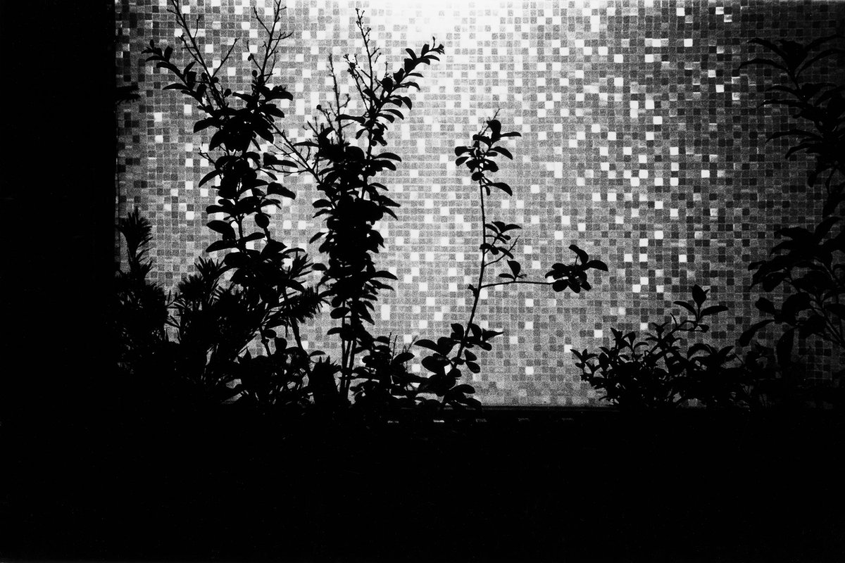 THEFASHIONPOST's tweet photo. 【開催中】写真家・相澤有紀が全編モノクロの新作写真集『TOKYO MONOCHROMES』を発表！神楽坂で写真展も
https://t.co/p2hRYGj0ME https://t.co/e7Hp5PM3Zw