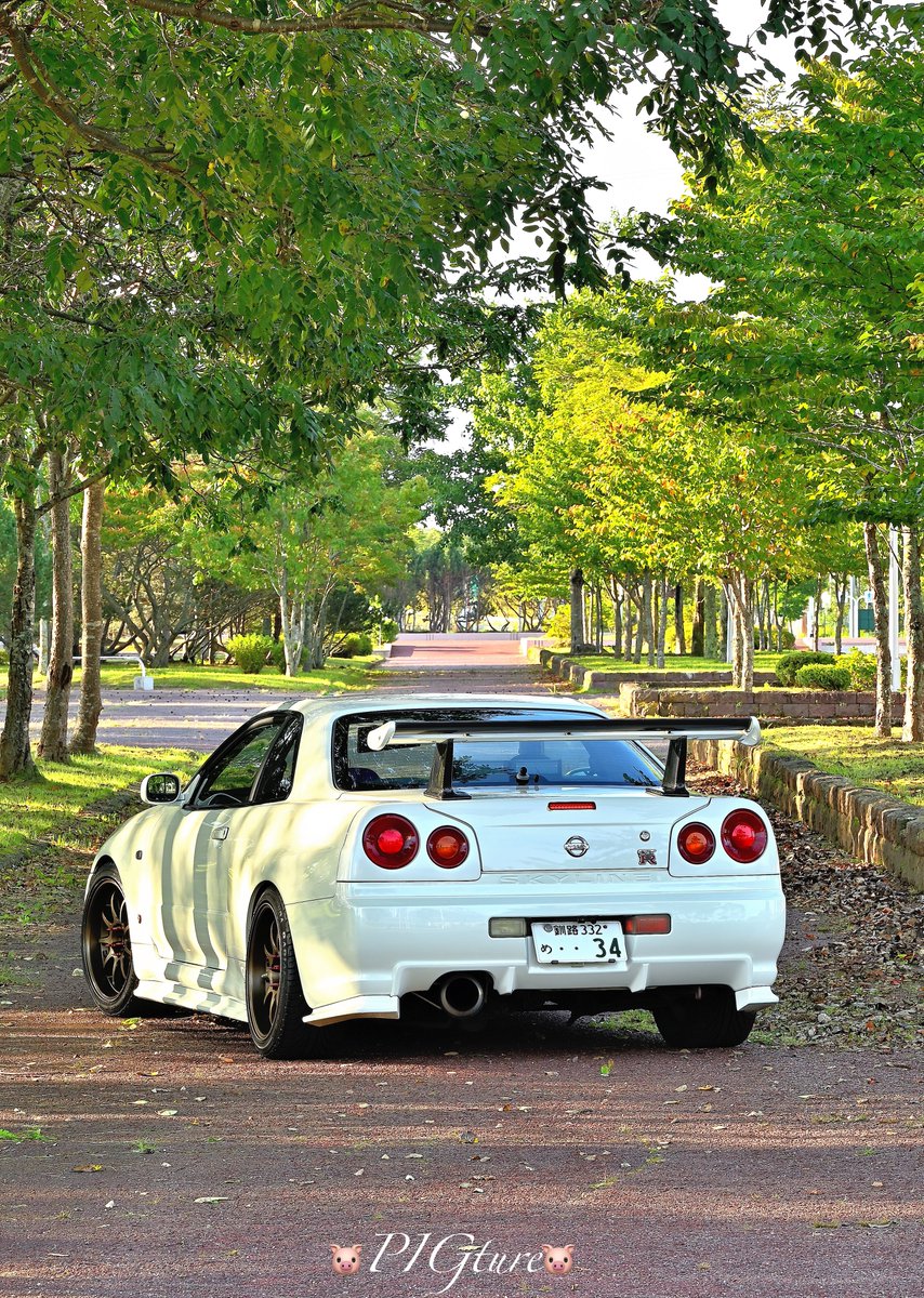 #みんなの縦写真見せて 

#BNR34
#スカイラインGTR