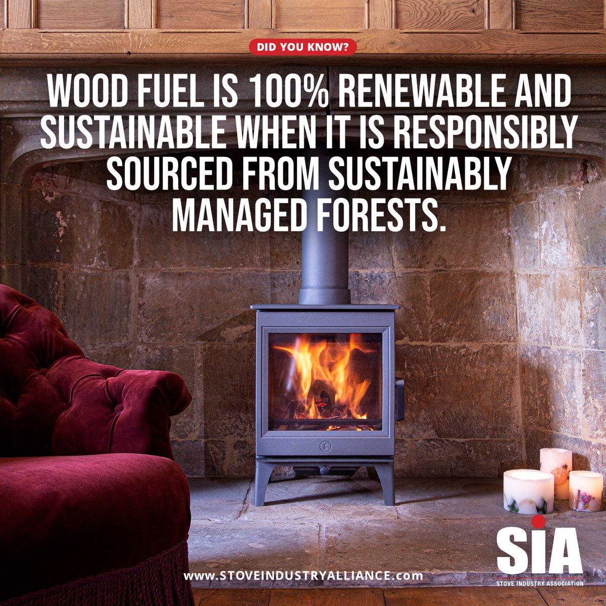 Replanting at a higher rate than felling is standard practice in sustainable forestry management.

Want to find out more about sustainable wood burning? Visit our website for further information.

stoveindustryalliance.com
