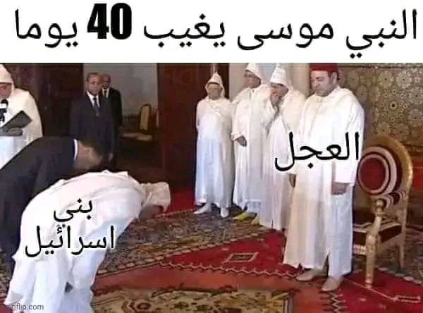 ammarforget's tweet photo. @AboFlah_1 https://t.co/PjNdGnaxe3