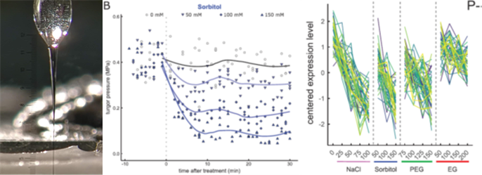 Sandrine Ruffel tweet media