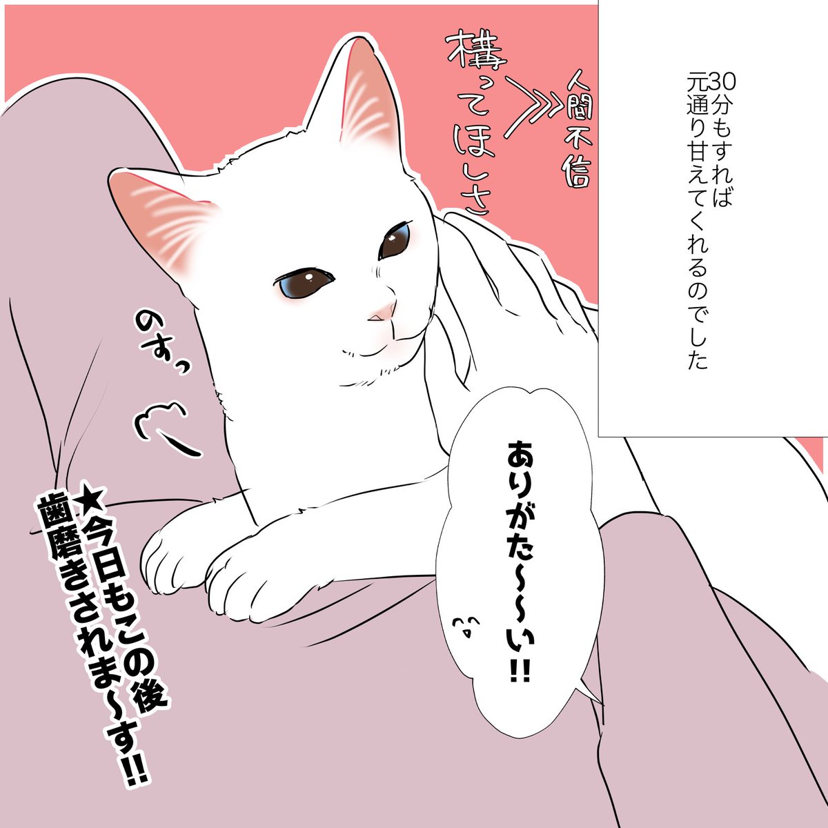猫の歯磨き事情についての話(2/2) 