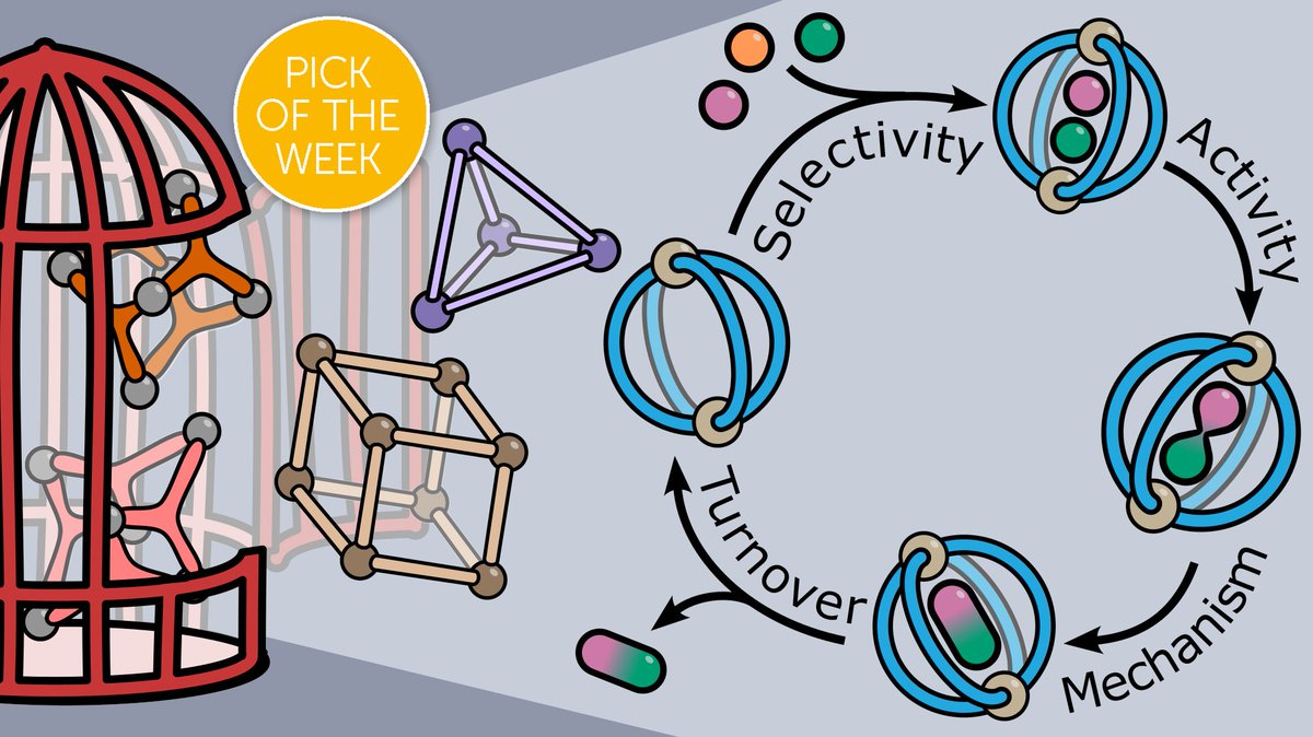 This week's #ChemSciPicks is a Perspective on Picking the lock of coordination cage catalysis, by Tomasz Piskorz @tkpiskorz, Fernanda Duarte @duarte_group, Paul Lusby @lusbyp and colleagues     

Read it for free with #DiamondOpenAccess here: pubs.rsc.org/en/content/art…