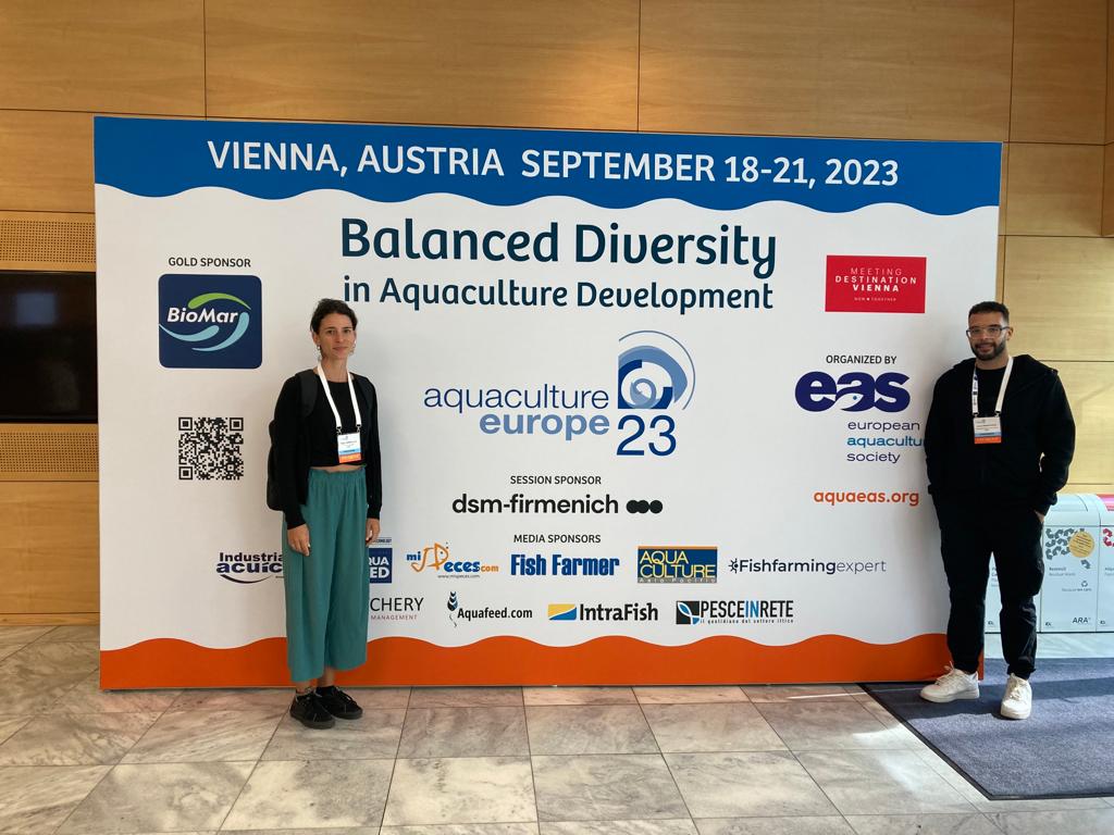 PLANASER 2.0 tweet media