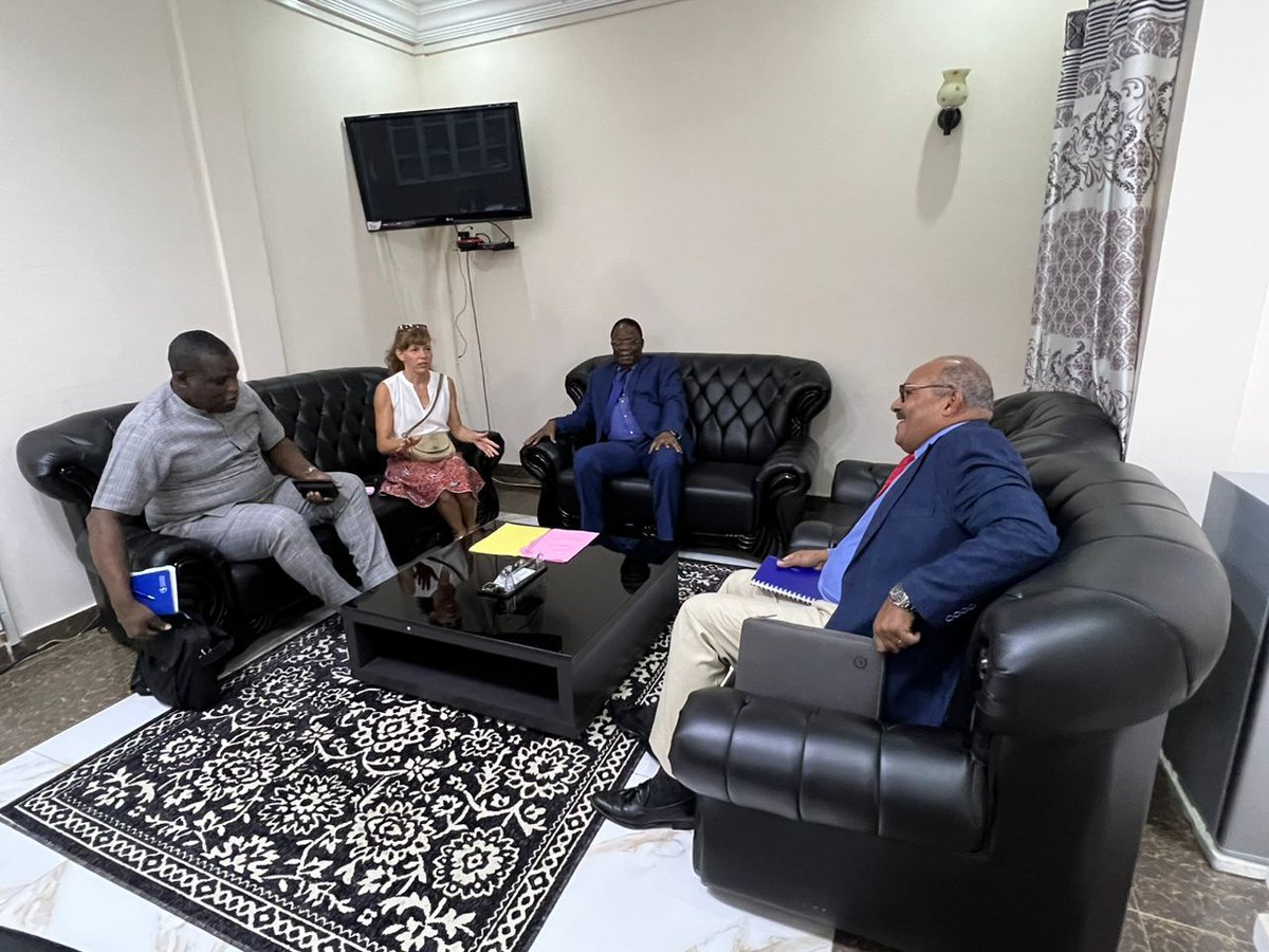 Union Africaine Bureau de Liaison au Tchad tweet media