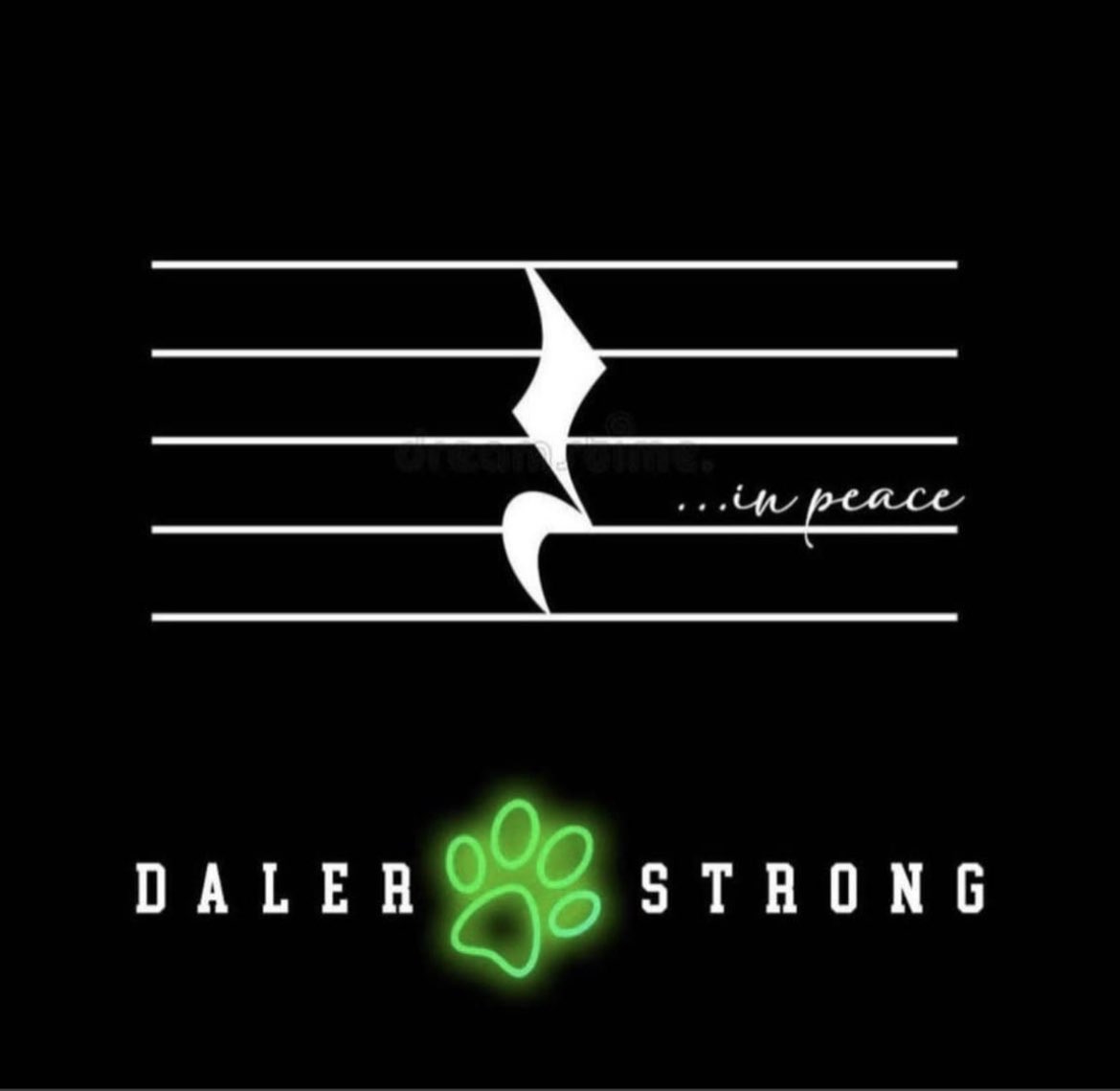JenniferDeHayes's tweet photo. There are simply no words…💚🐾💚🐾💚🐾💚🐾 https://t.co/kPte71E6xr