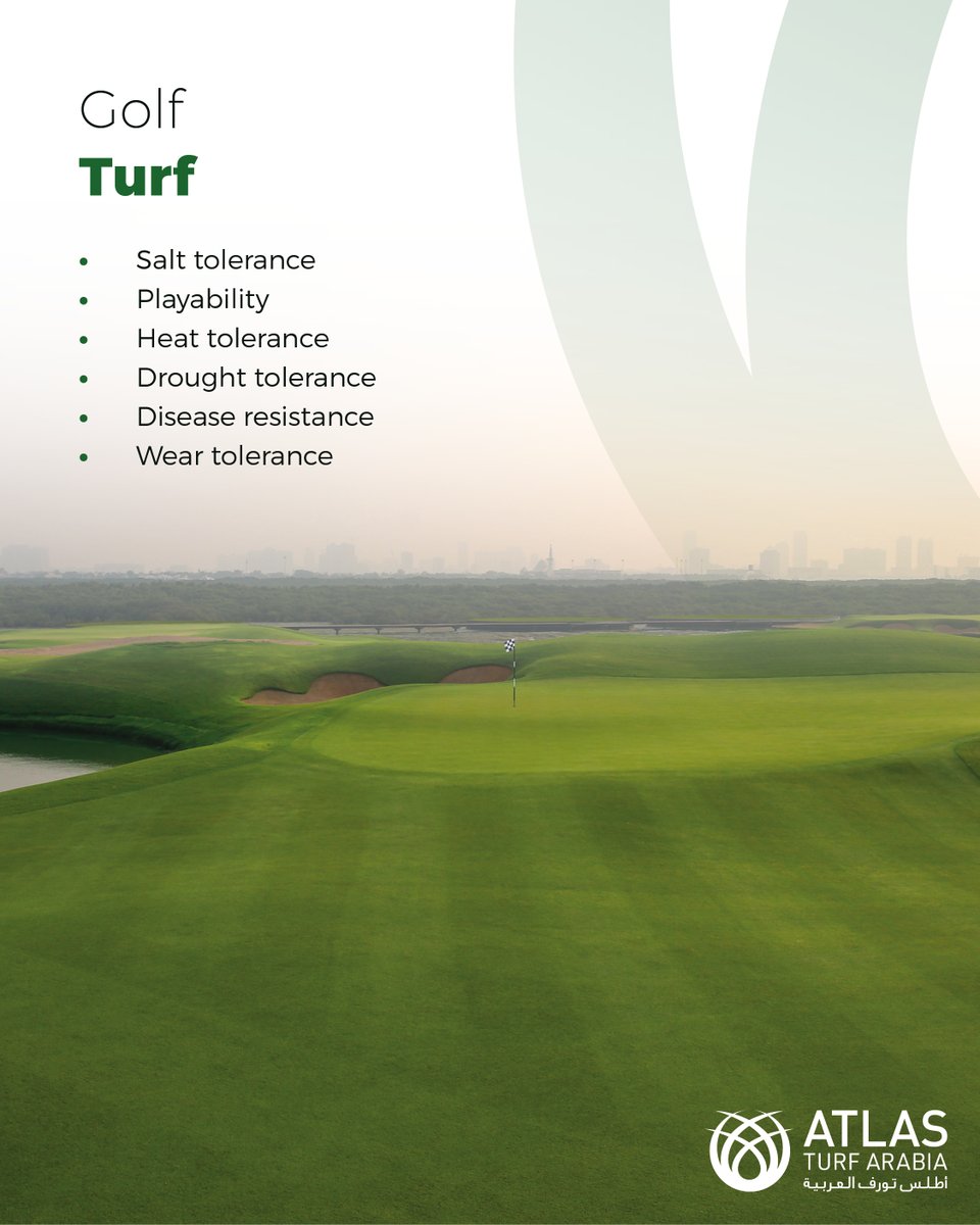 Atlas Turf Arabia tweet media