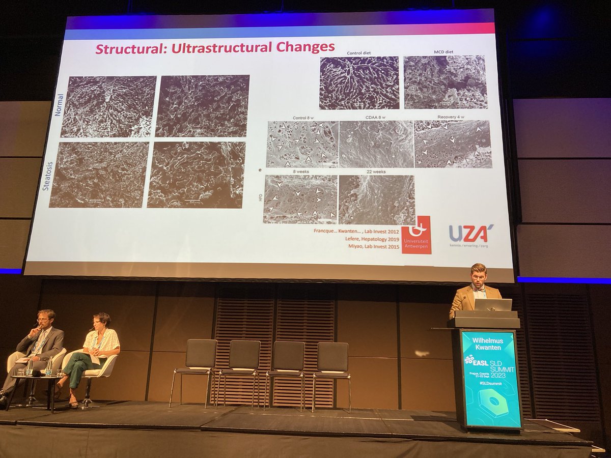 🧫 Vascular lesions in MASLD  
🎤@kvvanten 
🐁Evidence of vascular dysfunction in rodents
🔬inflammation, oxidative stress, lipotoxicity
Affects micro/macrovascular beds
🩺 Clinical translatability?
#SLDSummit 2023! @FrancqueSven @JVLazarus @EASLedu @EuropeLiver @lotersztajn