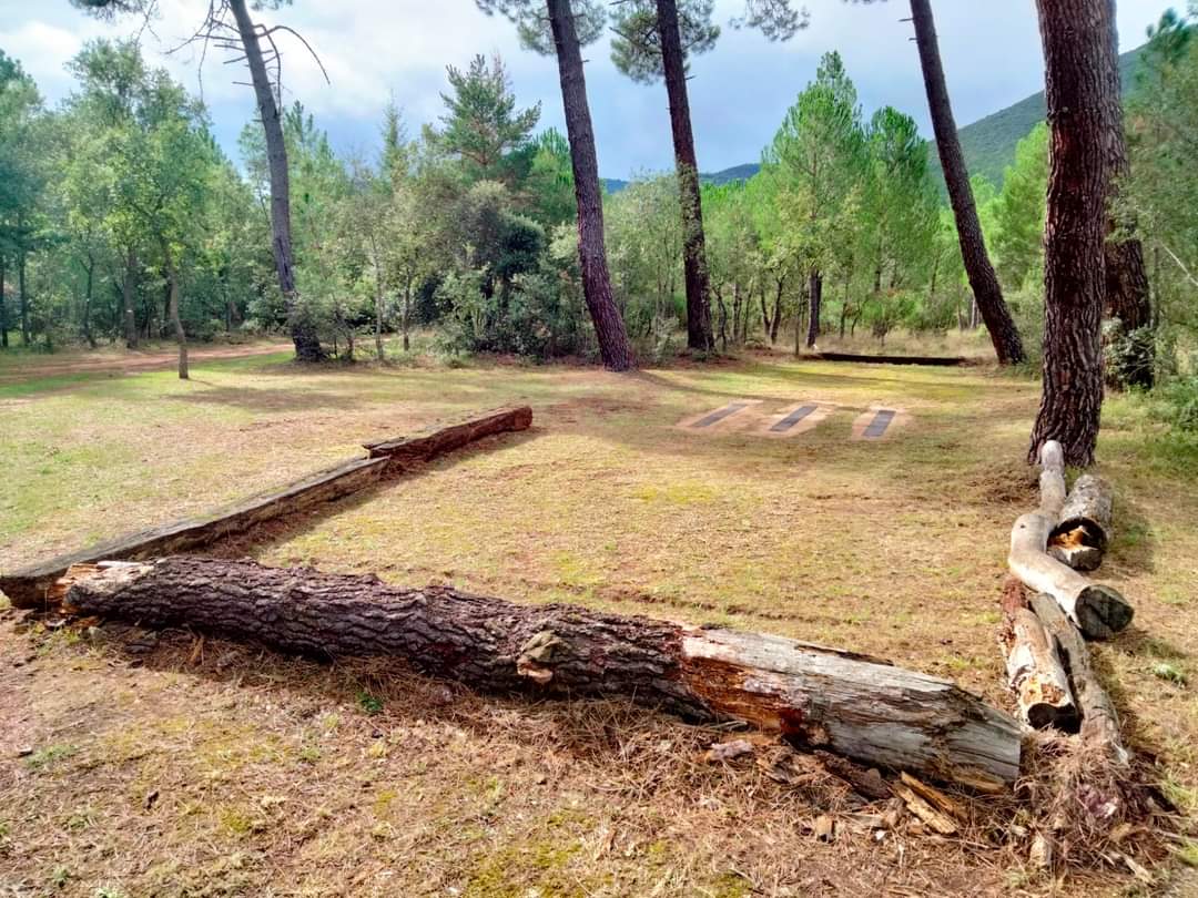 🌾Romería de Encinillas🌾

📆 Sábado, 23 de septiembre 
🧭 Encinillas, Cillaperlata 

La Romería de la Virgen de Encinillas se celebra junto a un pinar, en los montes de Cillaperlata. Por la tarde habrá concurso de bolos en este bello «juegabolos».

#Cillaperlata #Merindades