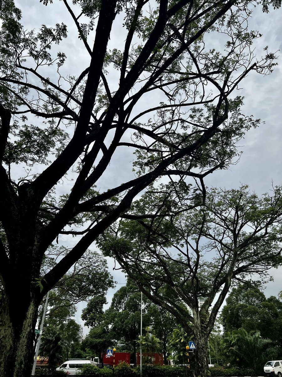 WTHMF_'s tweet photo. Can’t wait for rain! Otw to the gym after 2 weeks hiatus! https://t.co/kpDQQQAoUB