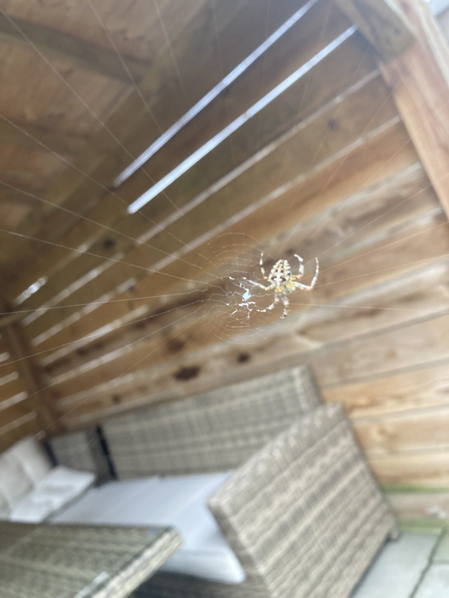 Would you rather have the guy on the left or the dude on the right as a roomie? 
#WouldYouRather
Illustrator: <a href="/eamostudio/">Eamonn O'Neill</a> 
Order now for a perfect Halloween gift! 

amazon.co.uk/Would-You-Rath…