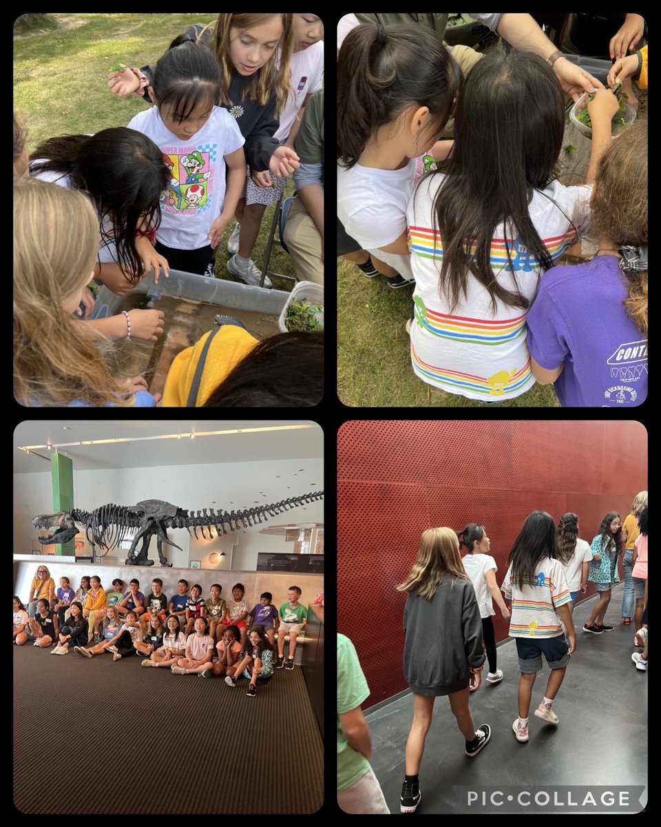 room8msro's tweet photo. Having fun while learning at Cranbrook!🩷
⁦@Recker_Hamilton⁩ https://t.co/X5SMyqMnA3