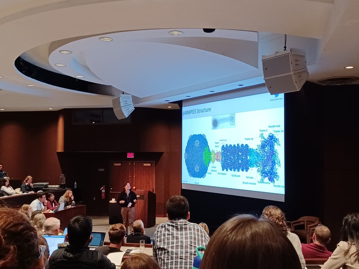 Molecular Microbiology Sheffield tweet media