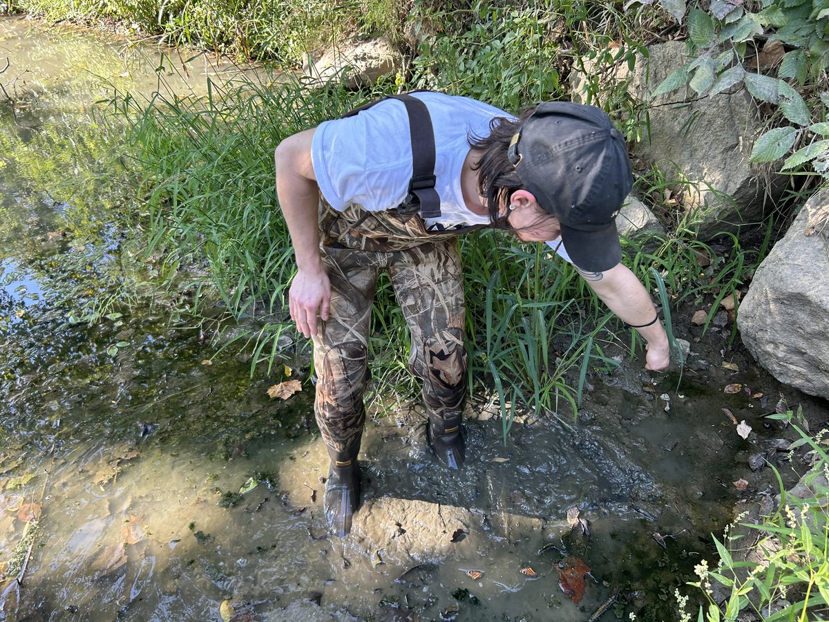 Our Ecology Field &amp; Lab Methods class had a fun time splashing around KS river and Buck creek during ‘stream &amp; bug week’! chocolates are a fun way to show freshwater chemistry + composition, colors representing compounds in water that make up water quality💧
