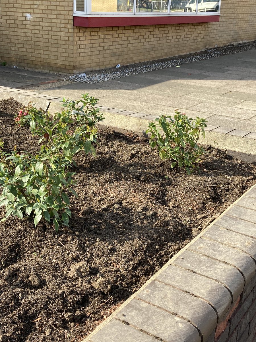 KAKempston's tweet photo. Nearly done! Over the last two weeks, our site team and a super local landscape garden firm have cleared 40 years of overgrowth &amp; planted new trees &amp; shrubs! A huge wonderful peaceful social area for our students to relax in! More pics to follow @Acrook @MissWallsDrama https://t.co/bR2Kmf3vO3