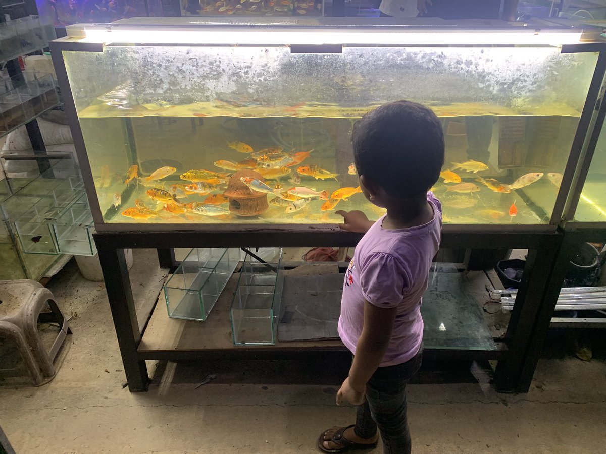 Exploring fish tank #ShasmeenSuhail #ShamreenSuhail