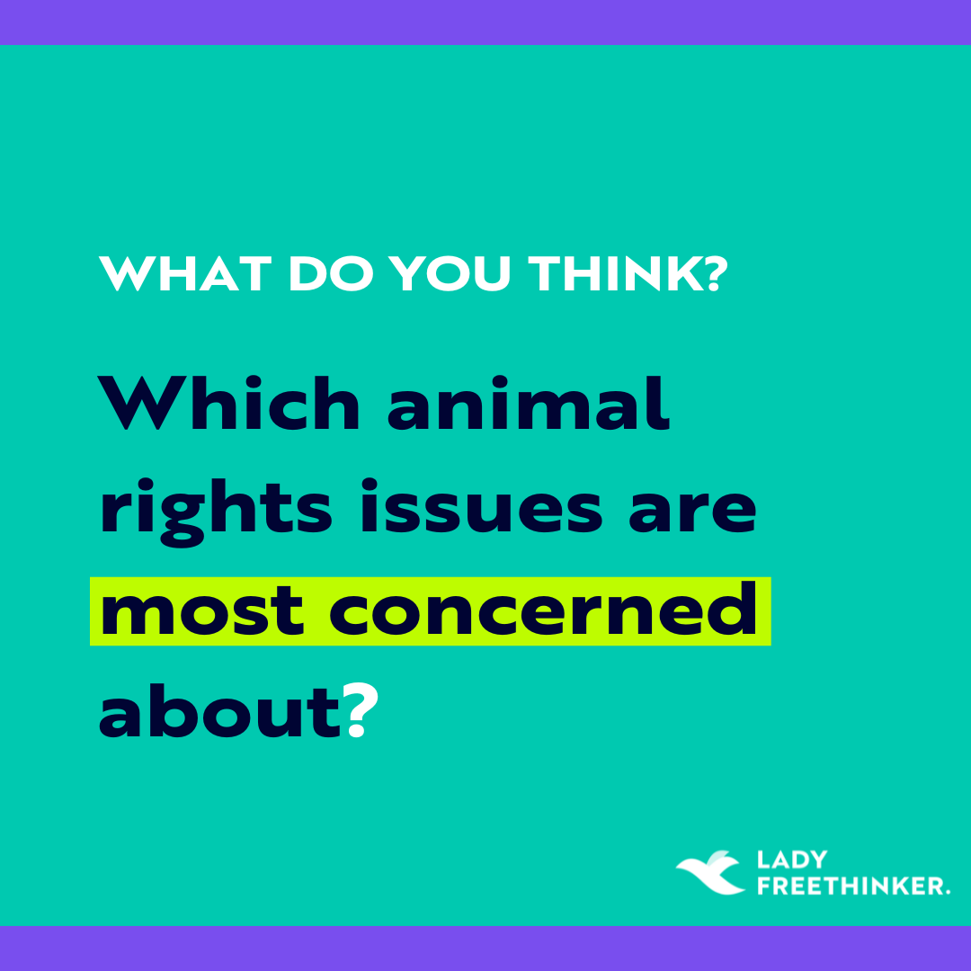 LadyFreethinker's tweet photo. Which #animalrights issues are you most concerned about? Which issues do you want to learn more about? Let us know!

#animals #animalwelfare #wildanimals #companionanimals #trophyhunting #cosmetictesting #animalexperimentation #animalabuse #animallaw #farmedanimals #fur #zoos https://t.co/YdxBdj0MRz