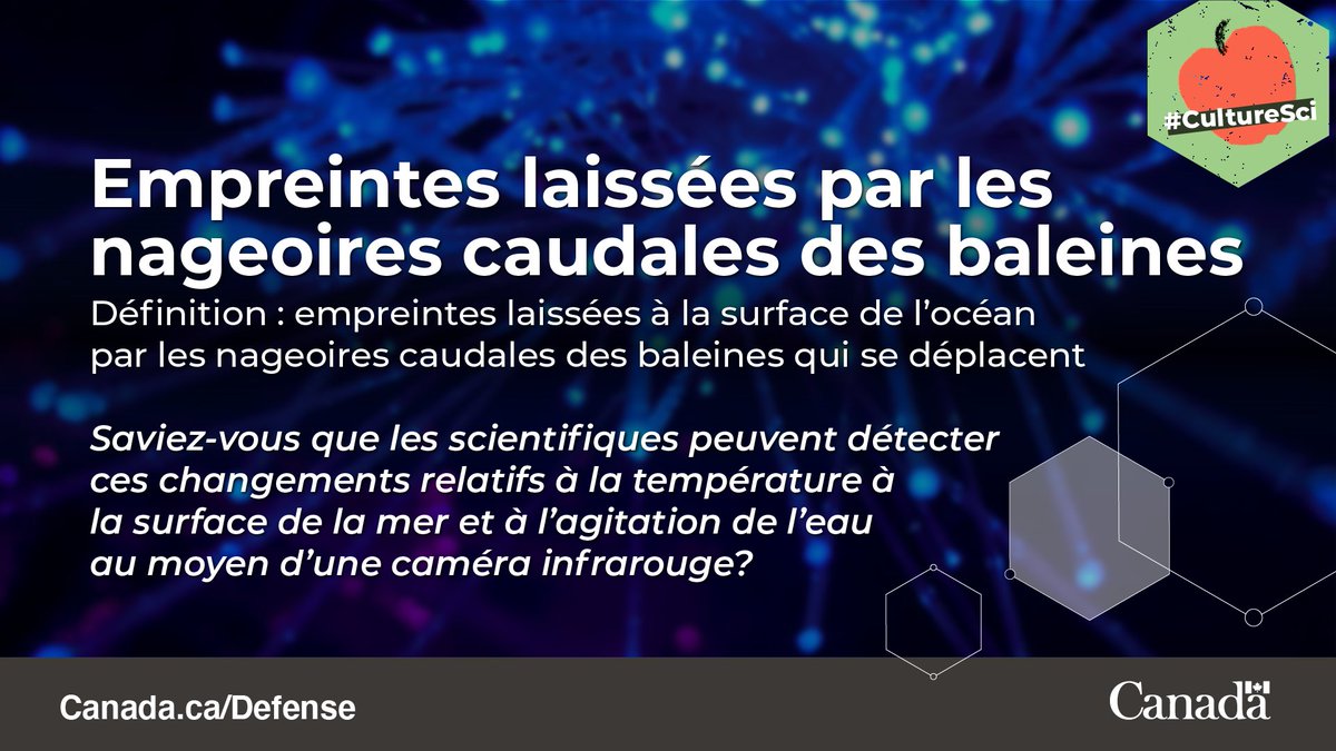 Recherche et développement pour la défense Canada (@rddc_drdc) on Twitter photo Les chercheurs de RDDC utilisent des caméras infrarouges et écrivent des algorithmes pour détecter les baleines. <a href="/ForcesCanada/">Forces armées canadiennes</a> peut donc planifier la tenue d’opérations et d’exercices à une distance sécuritaire. Apprenez-en plus : canada.ca/fr/ministere-d…
#CultureSci Les chercheurs de RDDC utilisent des caméras infrarouges et écrivent des algorithmes pour détecter les baleines. <a href="/ForcesCanada/">Forces armées canadiennes</a> peut donc planifier la tenue d’opérations et d’exercices à une distance sécuritaire. Apprenez-en plus : canada.ca/fr/ministere-d…
#CultureSci